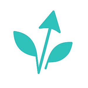 business advisory services in auckland